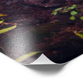 Impression Photo Cucumber Falls, Ohiopyle State Park, Pennsylvanie (Coin)