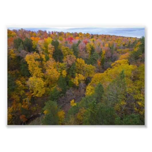 Impression Photo Cut River valley, Fall, Michigan (Devant)