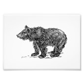 Impression Photo Cute Bear Cub (Devant)