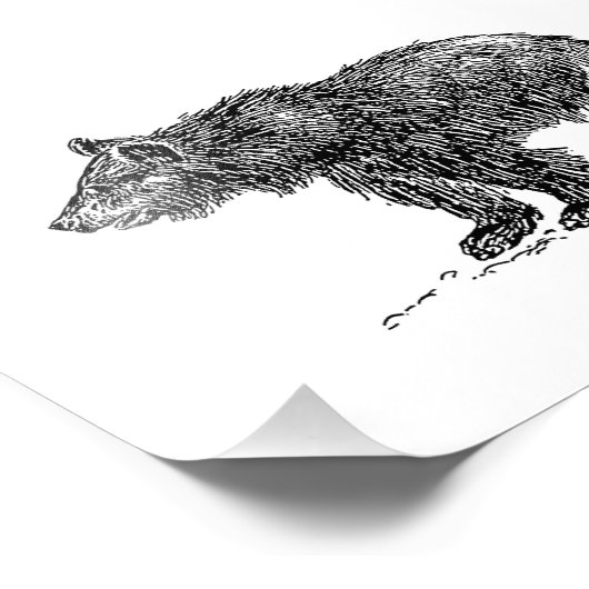 Impression Photo Cute Bear Cub (Coin)