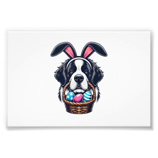 Impression Photo Cute Bunny Ear Saint Bernard Dog Easter Egg Owner  (Devant)