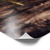 Impression Photo Cute Cockatiel (Coin)