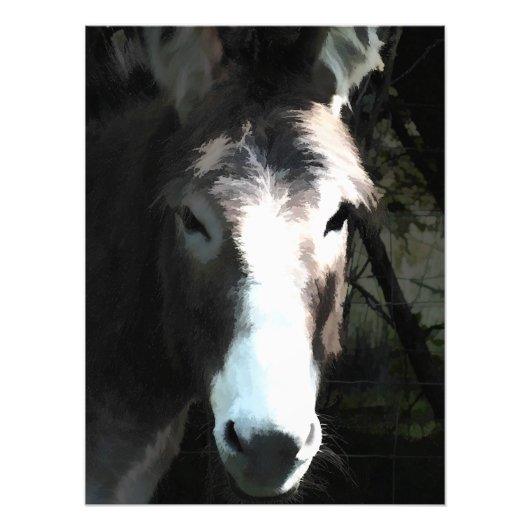 IMPRESSION PHOTO CUTE DONKEY (Devant)