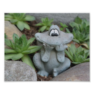 Impression Photo Cute Garden Frog Succulent Garden 8x10
