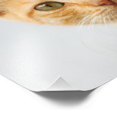 Impression Photo Cute Ginger Cat Kitten regarde Portrait - (Coin)