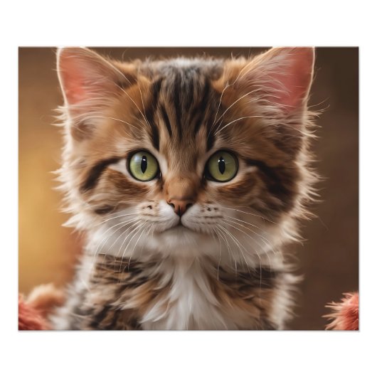 Impression Photo Cute Kitten (Devant)