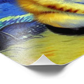 Impression Photo Cute Kitten Starry Night Van Gogh (Coin)