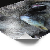 Impression Photo Cute Owl (Coin)