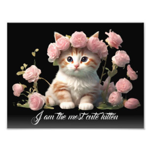 Impression Photo Cute personnalisée Chat chaton blanc chaton en noi