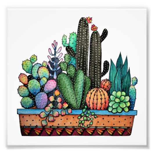 Impression Photo Cute Watercolor Cactus Garden (Devant)