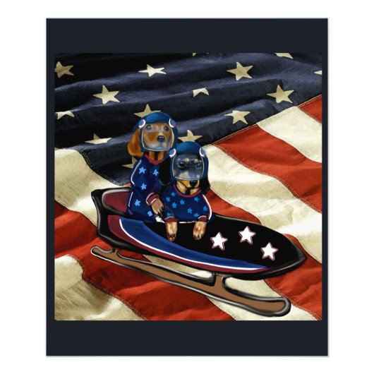 IMPRESSION PHOTO DACHSHUND  (Devant)