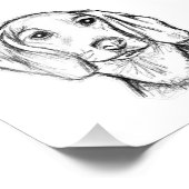Impression Photo dachshund hand drawn sketch black white puppy dog  (Coin)
