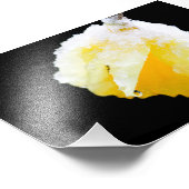 Impression Photo Daffodile jaune recouvert de neige hivernale (Coin)