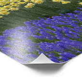 Impression Photo Daffodiles, jacinthe de raisin et jardin de tulipe (Coin)