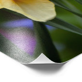 Impression Photo Daffodiles lumineuses (Coin)