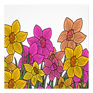 Impression Photo Daffodils colorés Fleurs Design