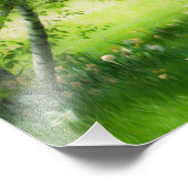 Impression Photo Daffodiques de printemps (Coin)