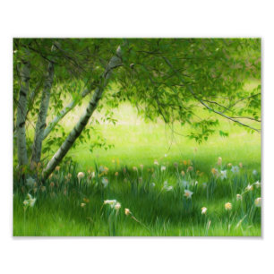 Impression Photo Daffodiques de printemps