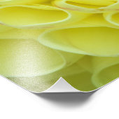 Impression Photo Dahlia (Coin)