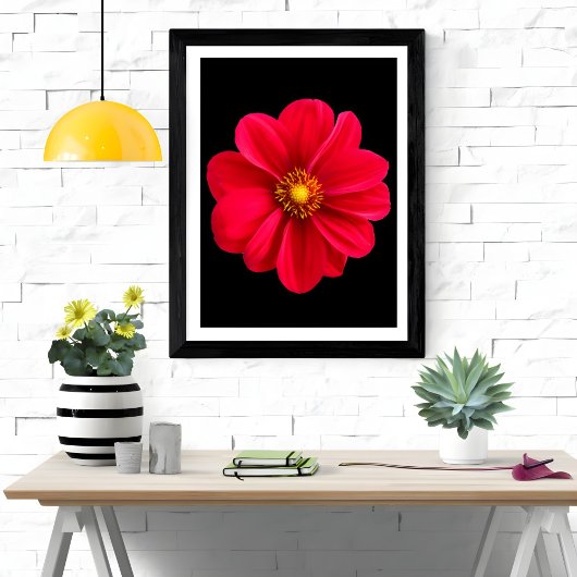 Impression Photo Dahlia rouge vibre