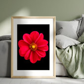Impression Photo Dahlia rouge vibre
