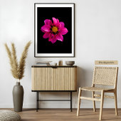 Impression Photo Dahlia vibrante