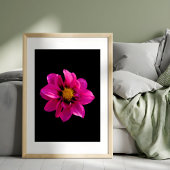 Impression Photo Dahlia vibrante