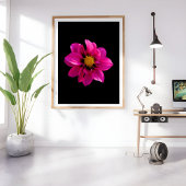 Impression Photo Dahlia vibrante