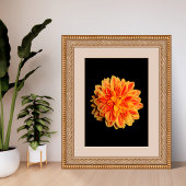 Impression Photo Dahlia vibrante
