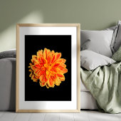 Impression Photo Dahlia vibrante