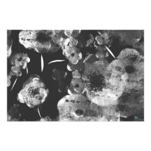 DAHLIAS NOIRS