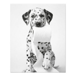 Impression Photo Dalmatien mignon tenant du papier toilette Minimal