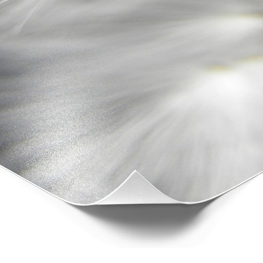 Impression Photo Dandelion (Coin)