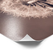 Impression Photo Dandelion Blowball Closeup Sepia (Coin)