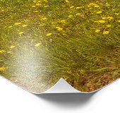 Impression Photo Dandelion Field (Coin)