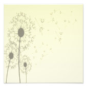 Impression Photo Dandelions (Devant)