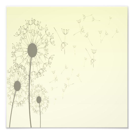 Impression Photo Dandelions (Devant)