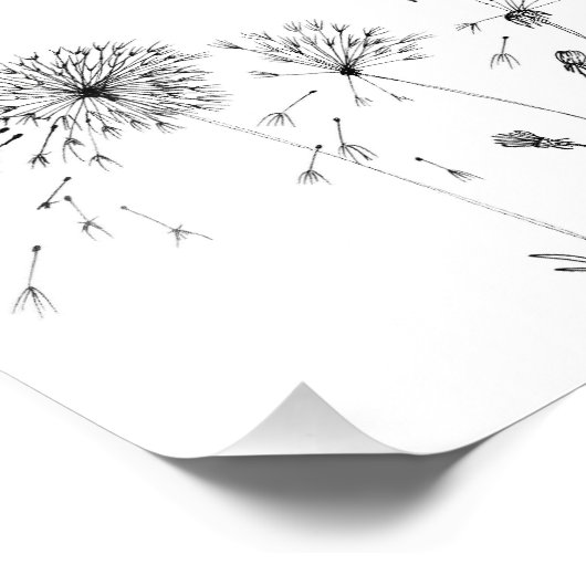 Impression Photo Dandelions (Coin)