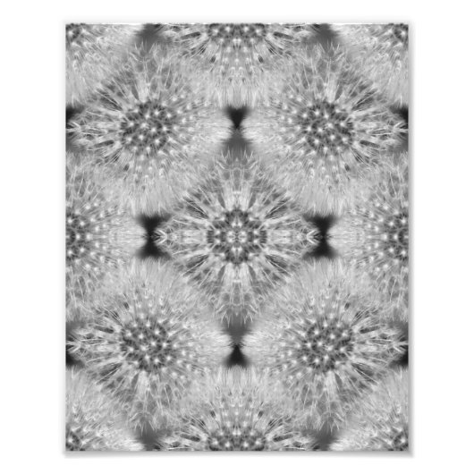 Impression Photo Dandelions blancs bouffants Nature Abstraite 8x10 (Devant)