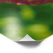 Impression Photo Dans Le Jardin Dahlia 1 (Coin)