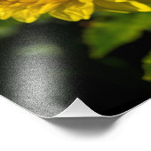 Impression Photo Dans Le Jardin Dahlia 3 (Coin)