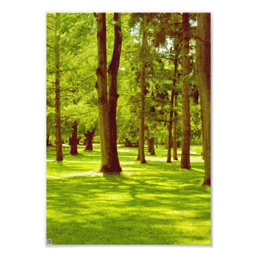 Impression Photo Dans le parc (Devant)