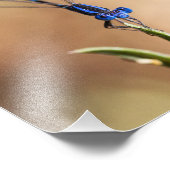 Impression Photo Danse de la mouche (Coin)