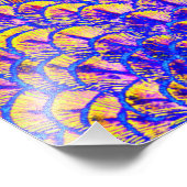 Impression Photo Danse de Peacock (Coin)