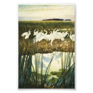 Impression Photo Danse des grues blanches par N. C. Wyeth