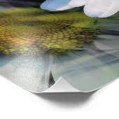 IMPRESSION PHOTO DATES (Coin)