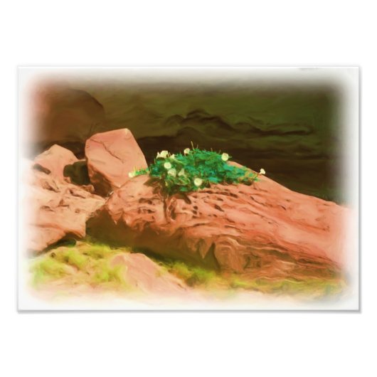 Impression Photo Datura Cavern (Devant)