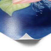 Impression Photo Dauphin de mer (Coin)