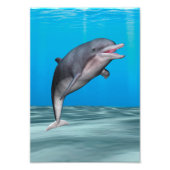 Impression Photo Dauphin mignon (Devant)