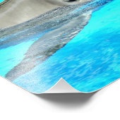 Impression Photo Dauphin souriant (Coin)